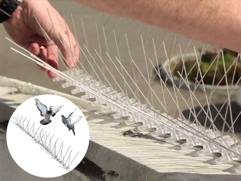 Bird Spike Installation